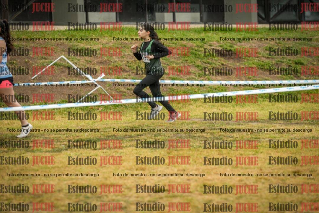 Fotos en el segundo punto del circuito