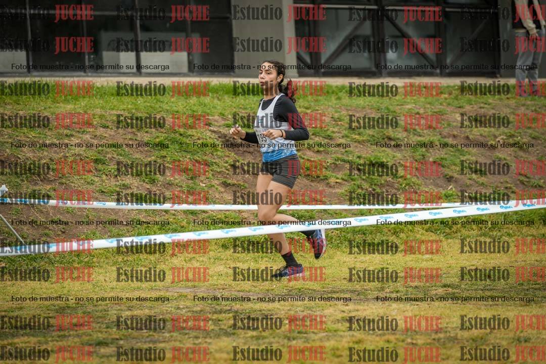 Fotos en el segundo punto del circuito