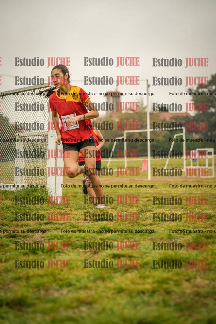 Fotos en el cuarto punto del circuito