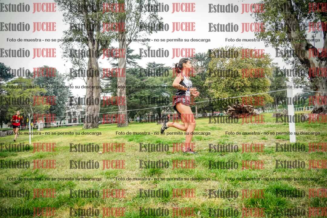 Fotos en el sexto punto del circuito