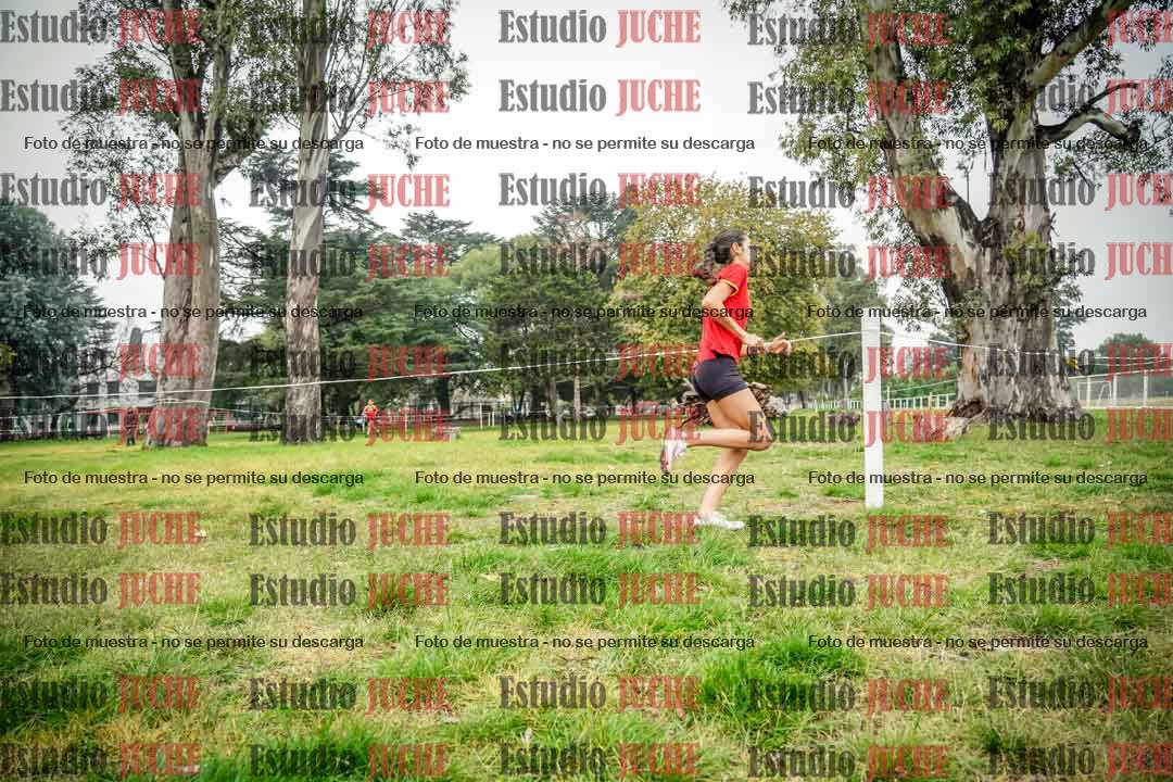 Fotos en el sexto punto del circuito
