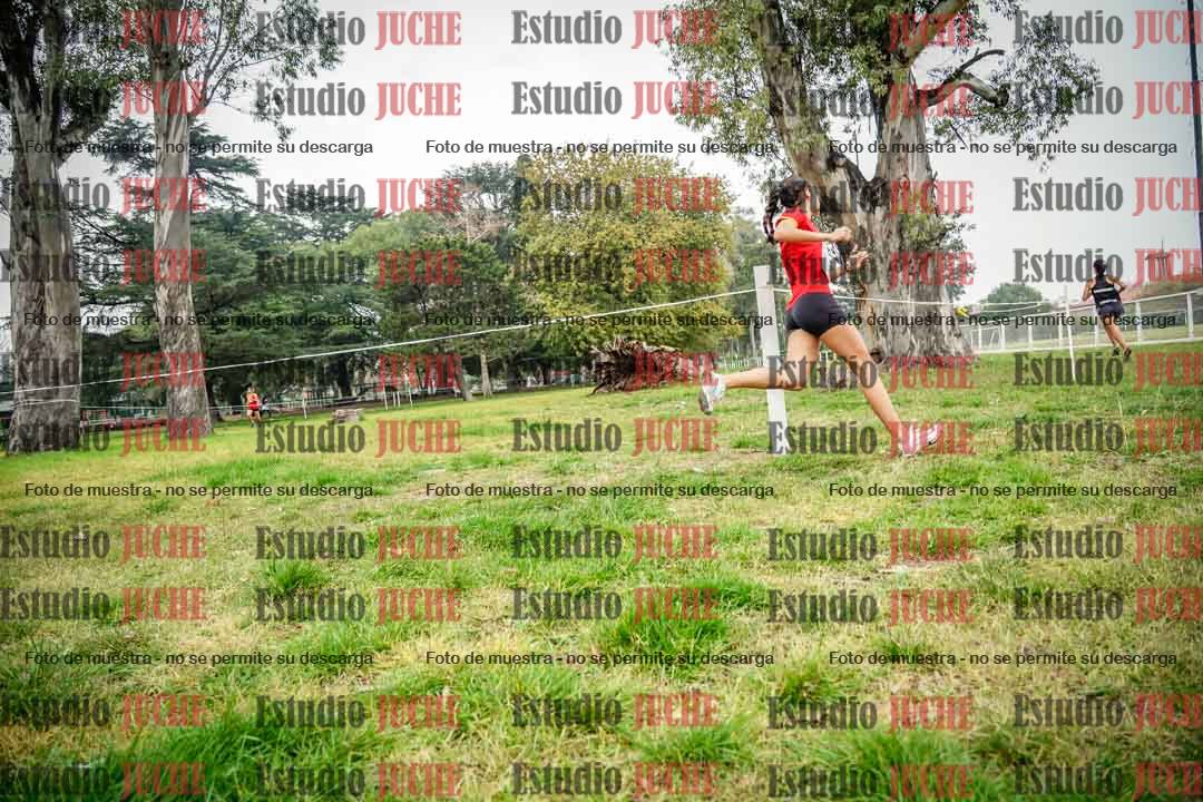Fotos en el sexto punto del circuito