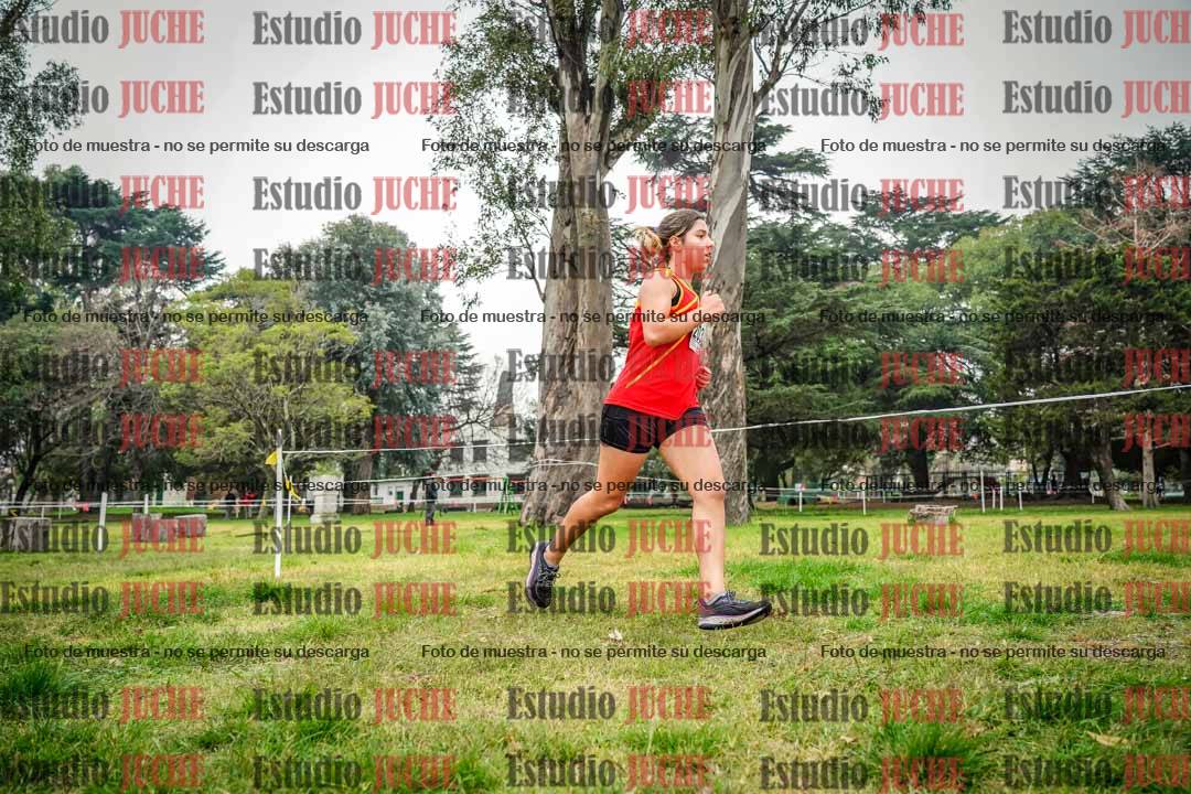 Fotos en el sexto punto del circuito