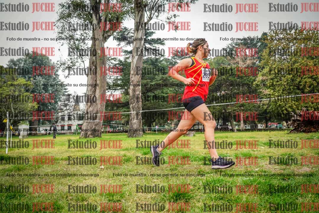 Fotos en el sexto punto del circuito