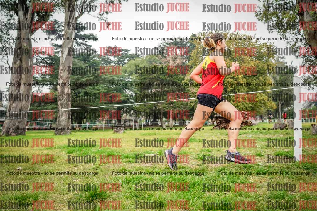 Fotos en el sexto punto del circuito