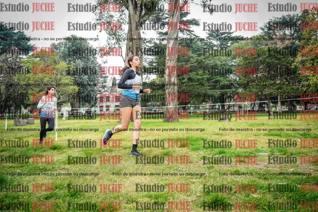 Fotos en el sexto punto del circuito