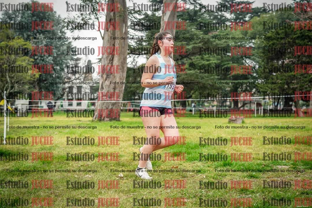 Fotos en el sexto punto del circuito