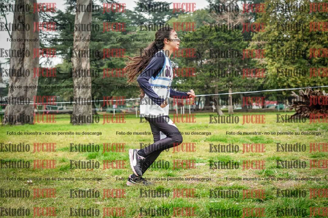 Fotos en el sexto punto del circuito