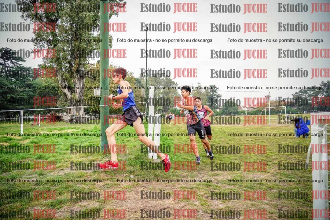Fotos en el quinto punto del circuito