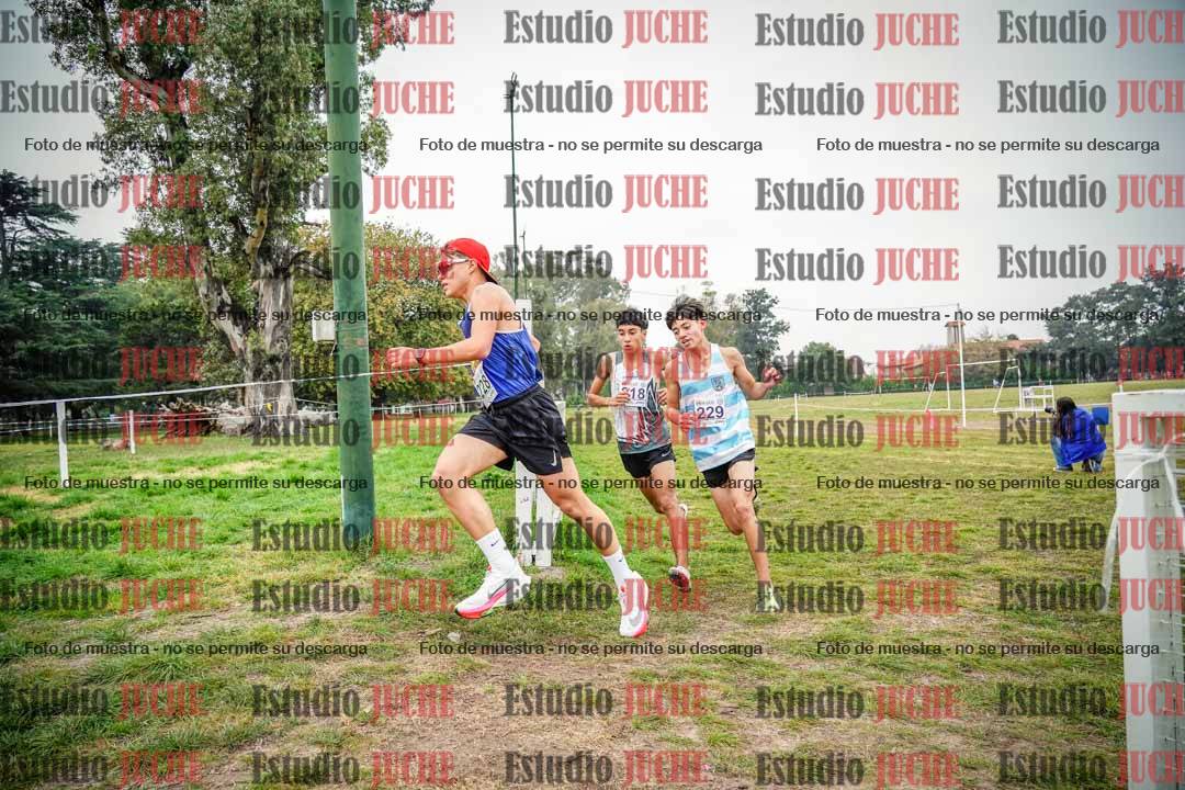 Fotos en el quinto punto del circuito