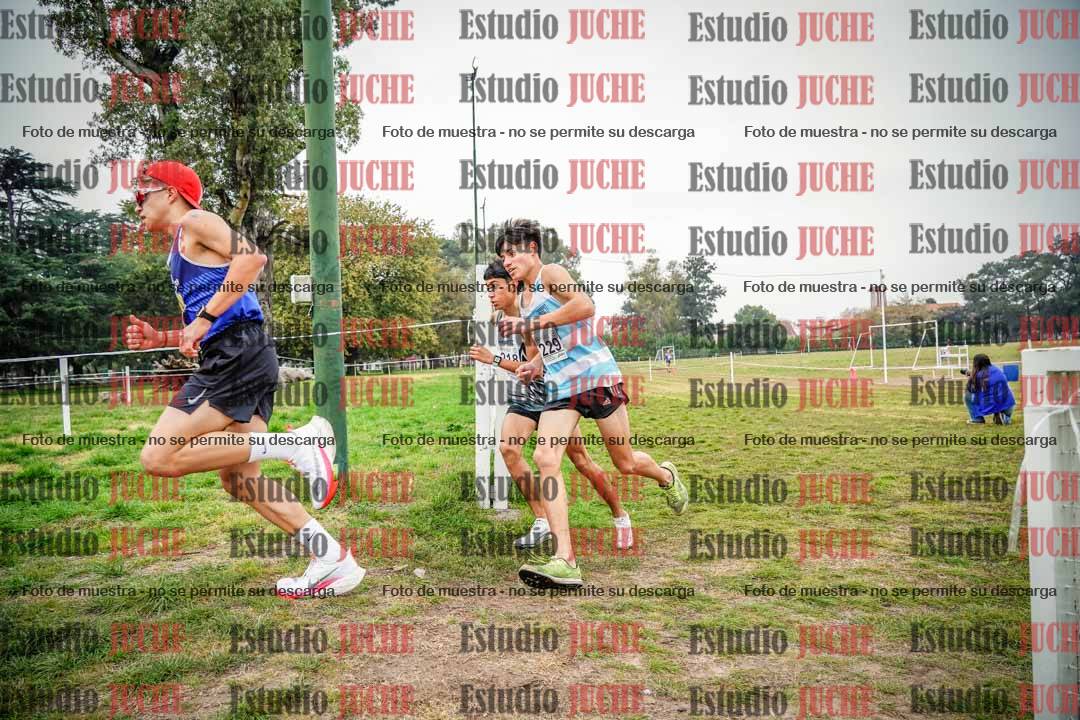 Fotos en el quinto punto del circuito