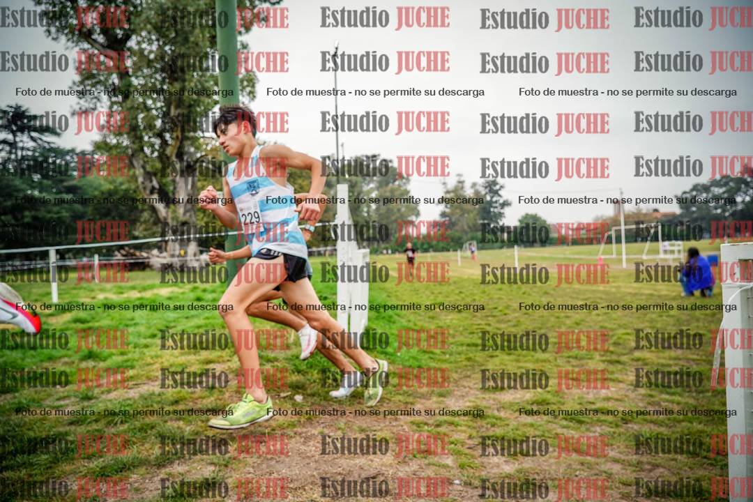 Fotos en el quinto punto del circuito