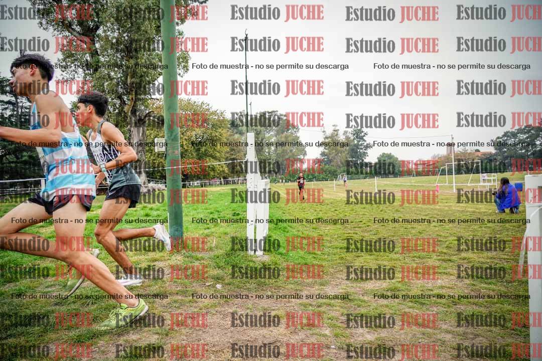 Fotos en el quinto punto del circuito