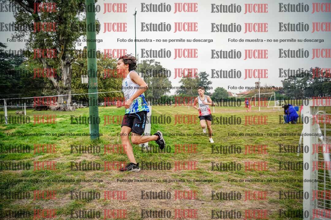 Fotos en el quinto punto del circuito