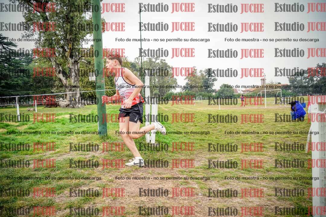 Fotos en el quinto punto del circuito