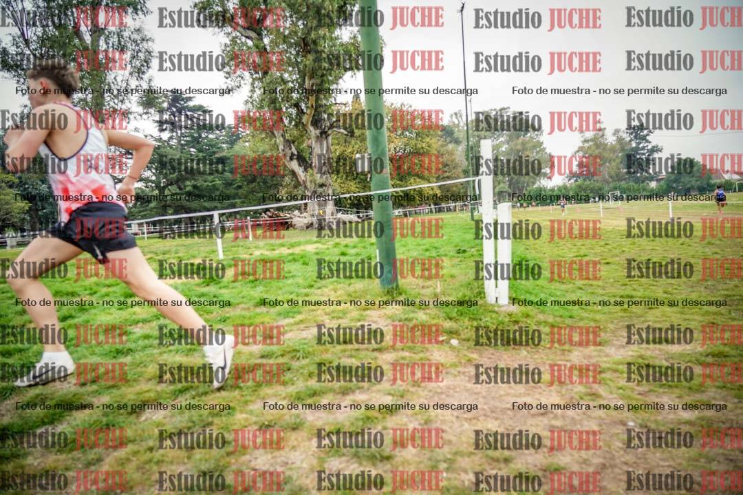 Fotos en el quinto punto del circuito