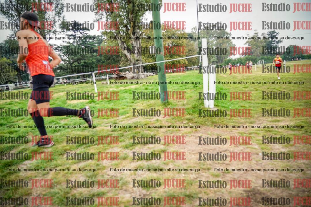 Fotos en el quinto punto del circuito