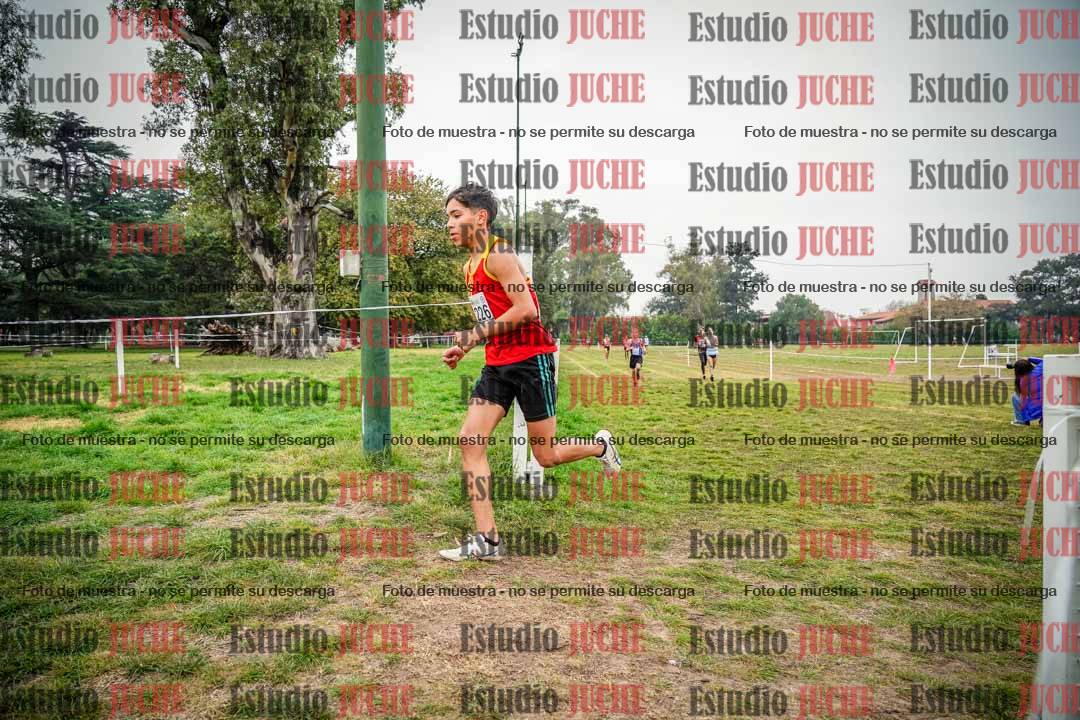 Fotos en el quinto punto del circuito
