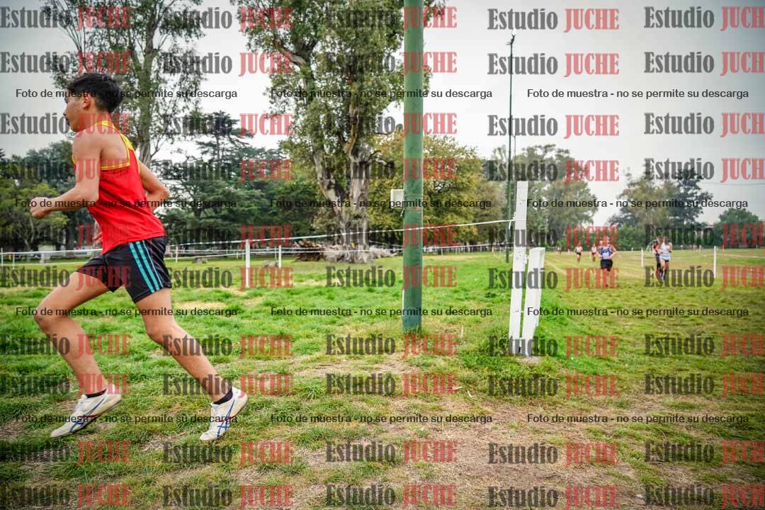 Fotos en el quinto punto del circuito