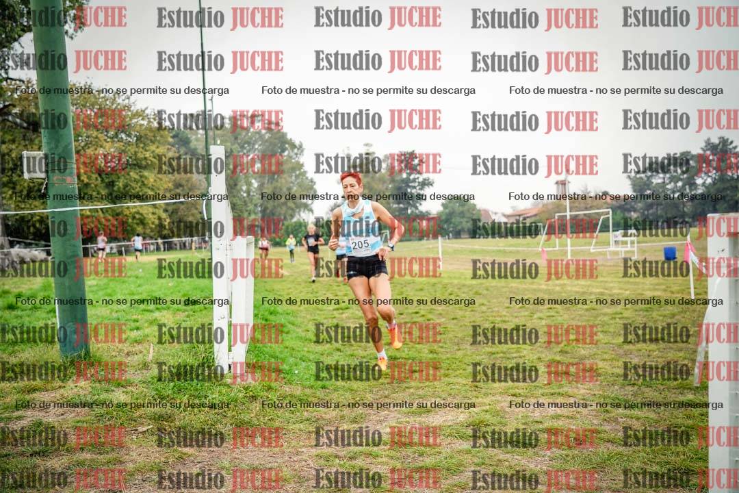 Fotos en el quinto punto del circuito