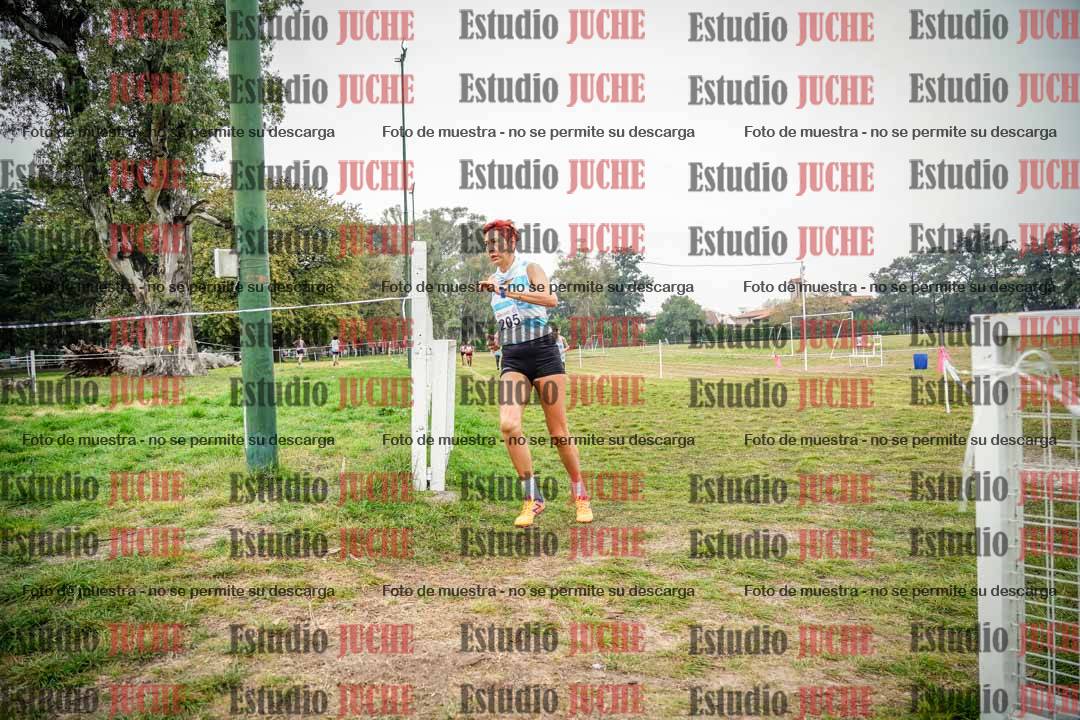 Fotos en el quinto punto del circuito
