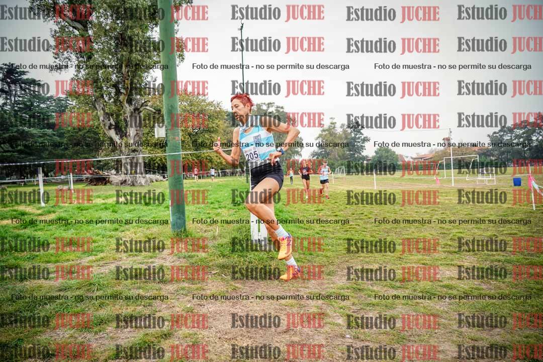 Fotos en el quinto punto del circuito