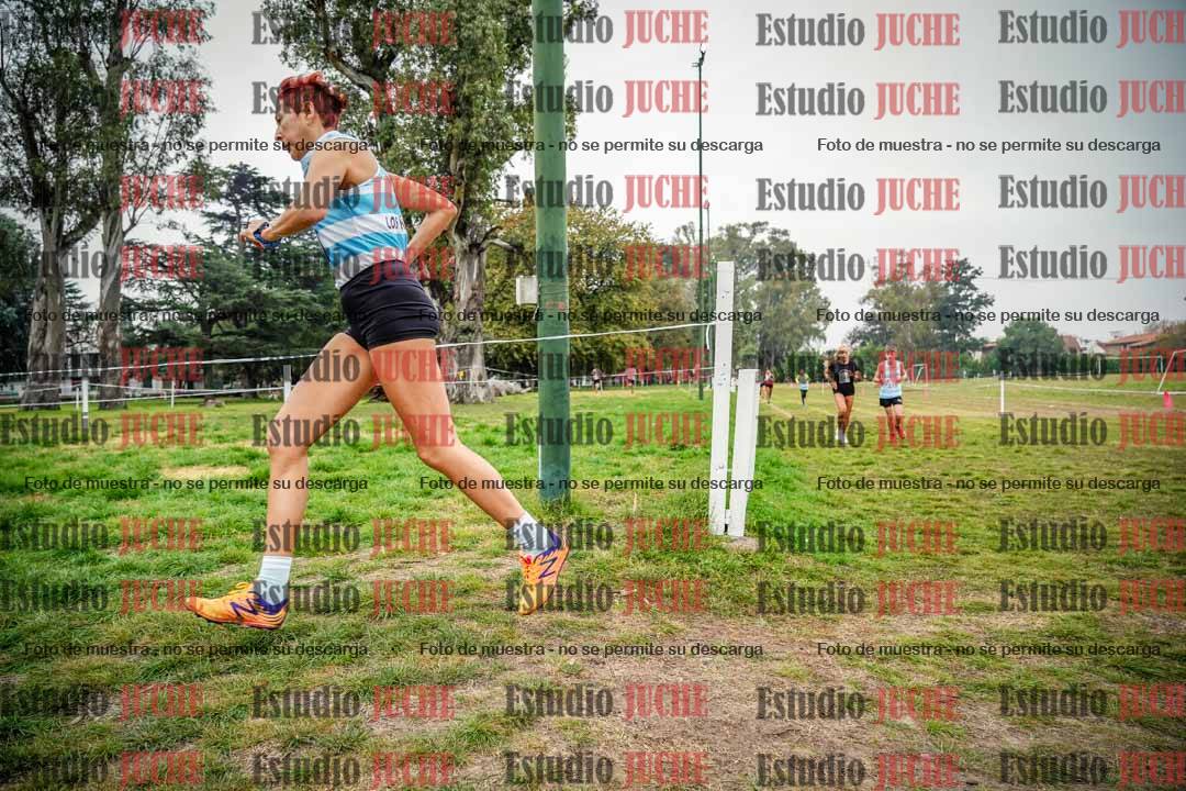 Fotos en el quinto punto del circuito