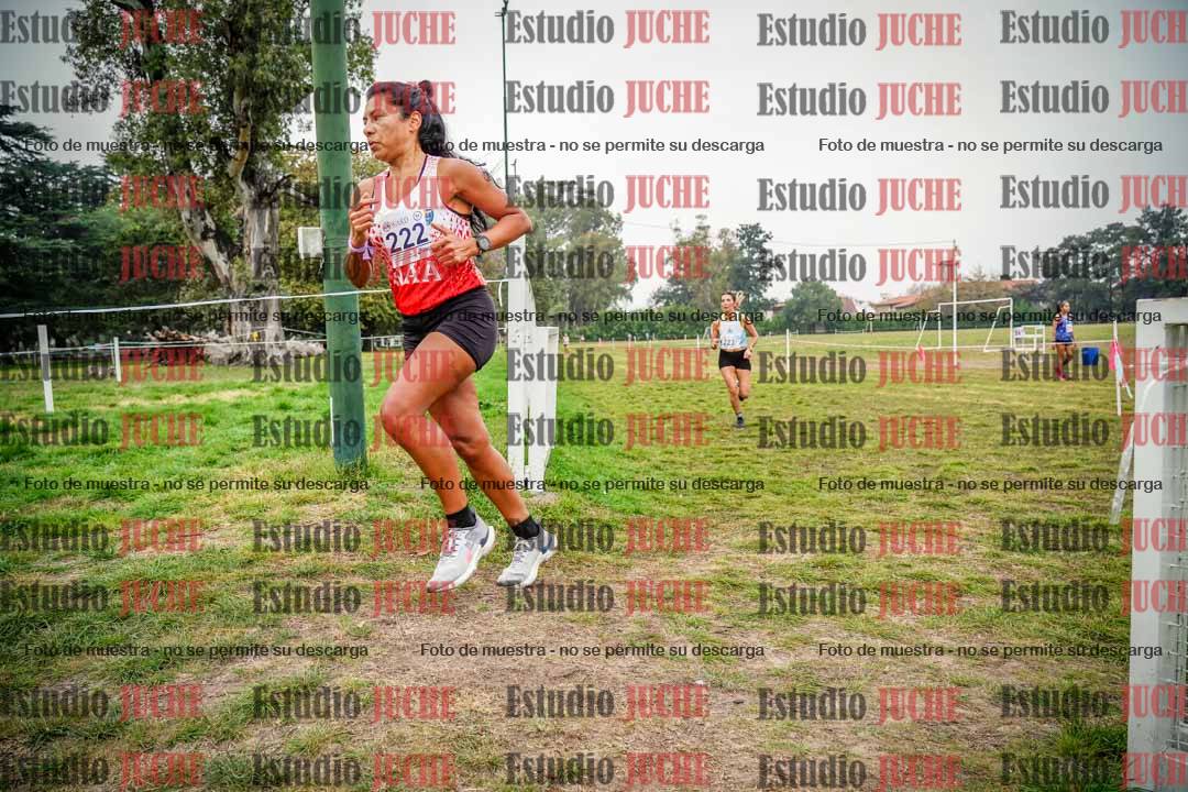 Fotos en el quinto punto del circuito