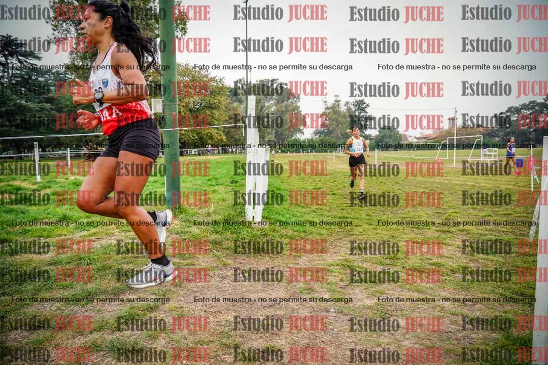 Fotos en el quinto punto del circuito