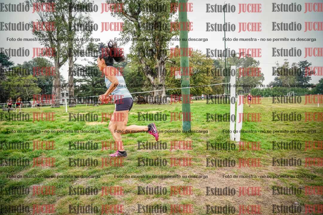 Fotos en el quinto punto del circuito