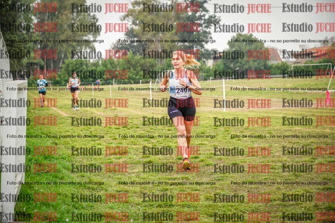 Fotos en el quinto punto del circuito