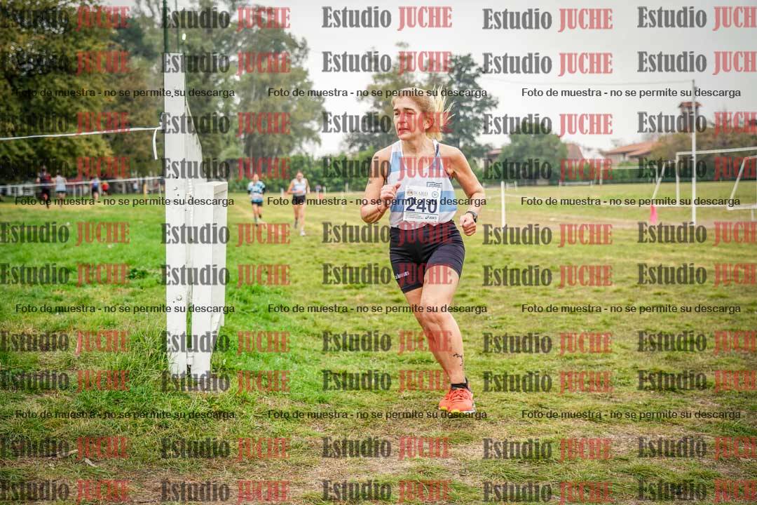 Fotos en el quinto punto del circuito
