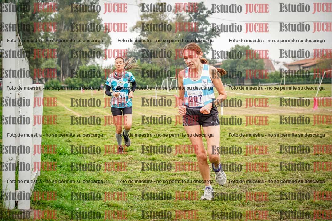 Fotos en el quinto punto del circuito