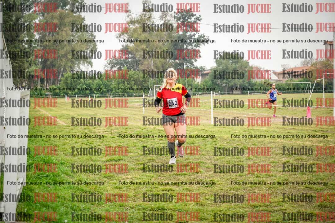 Fotos en el quinto punto del circuito