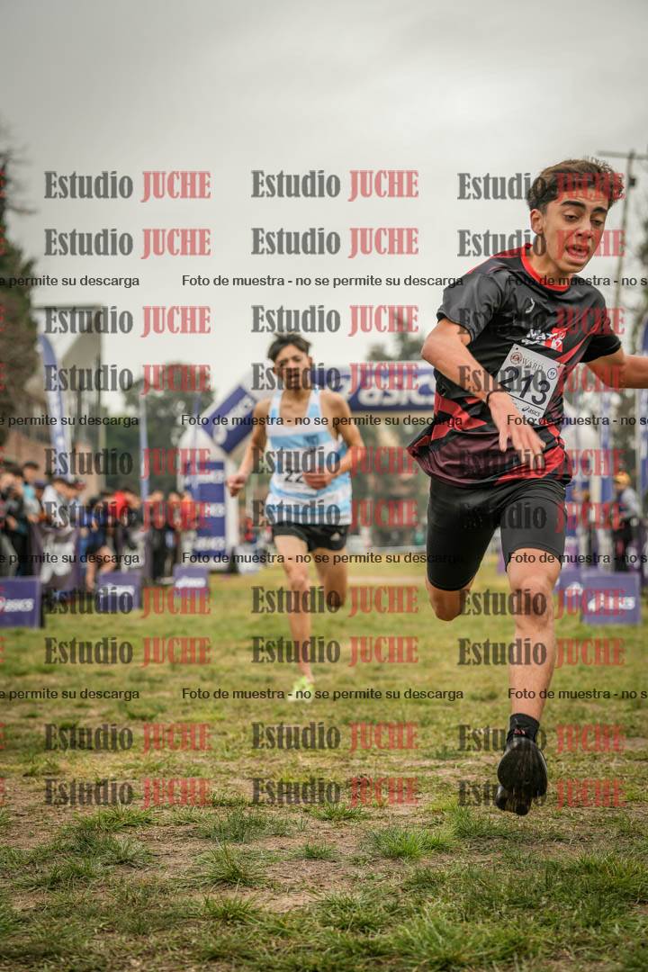 Fotos de la llegada del cross de 3000 m
