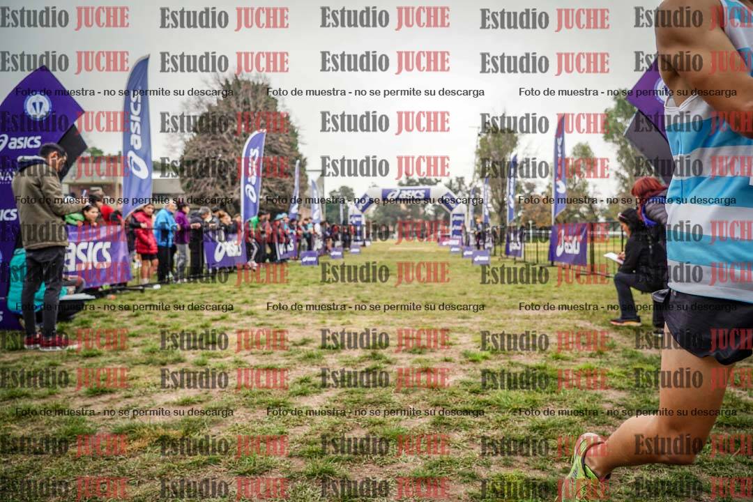 Fotos de la llegada del cross de 3000 m