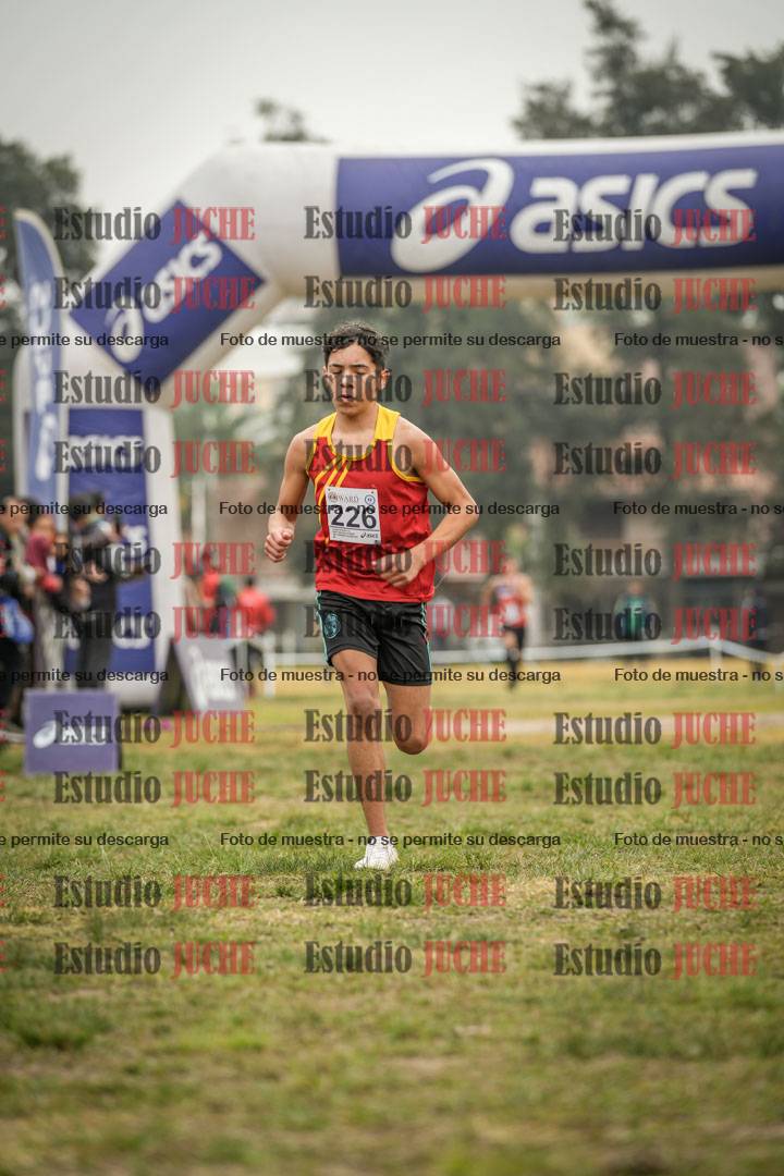 Fotos de la llegada del cross de 3000 m