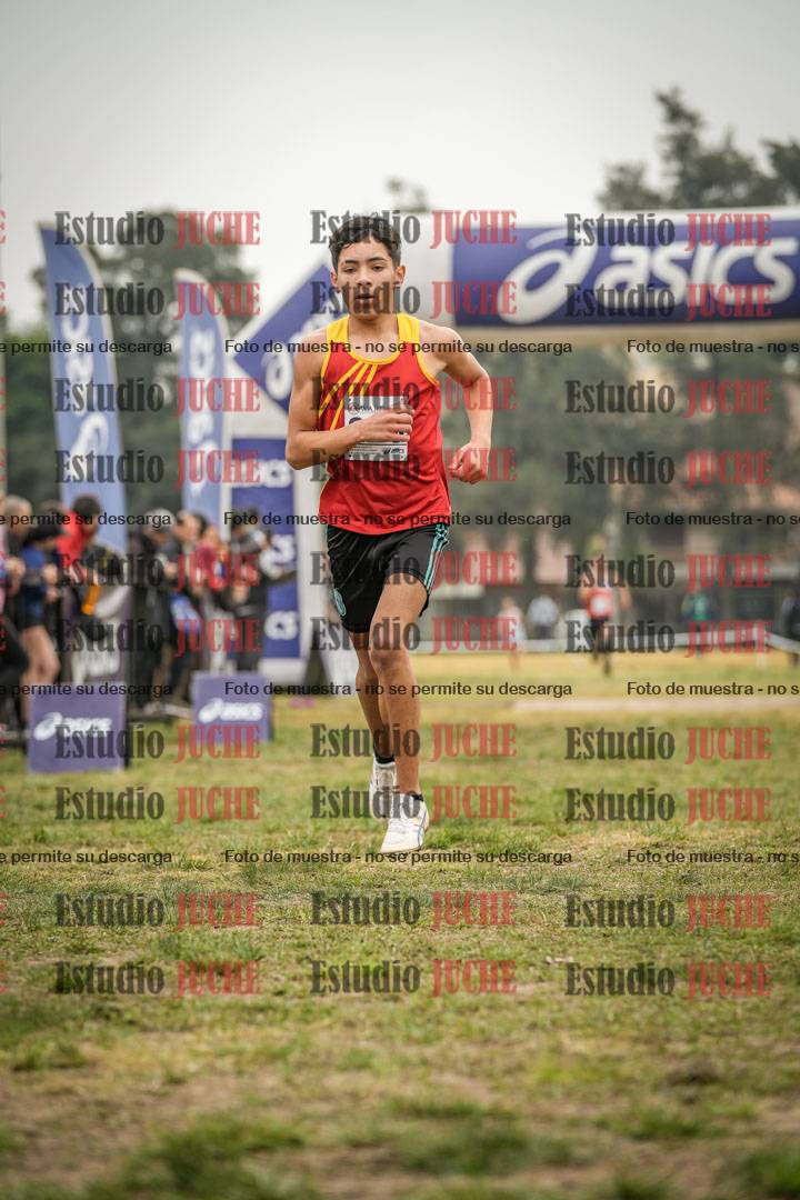 Fotos de la llegada del cross de 3000 m