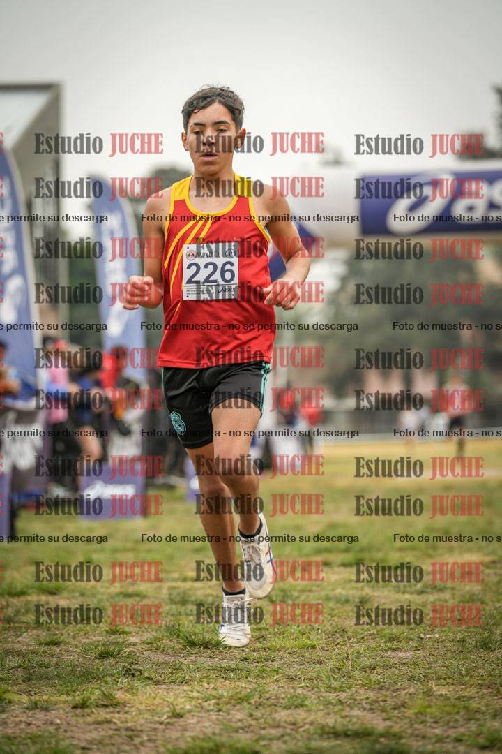 Fotos de la llegada del cross de 3000 m