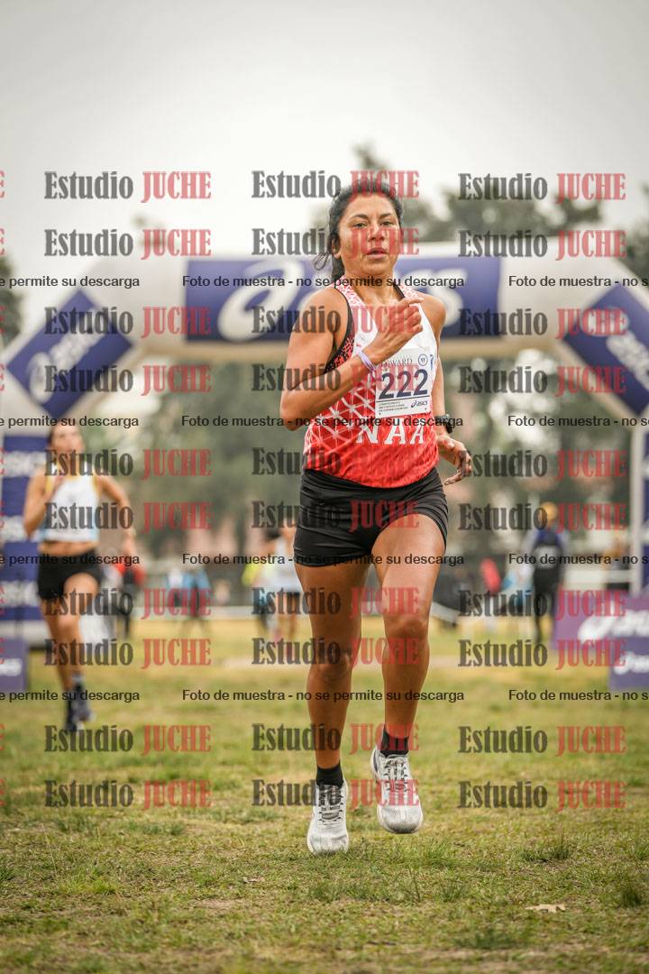 Fotos de la llegada del cross de 3000 m