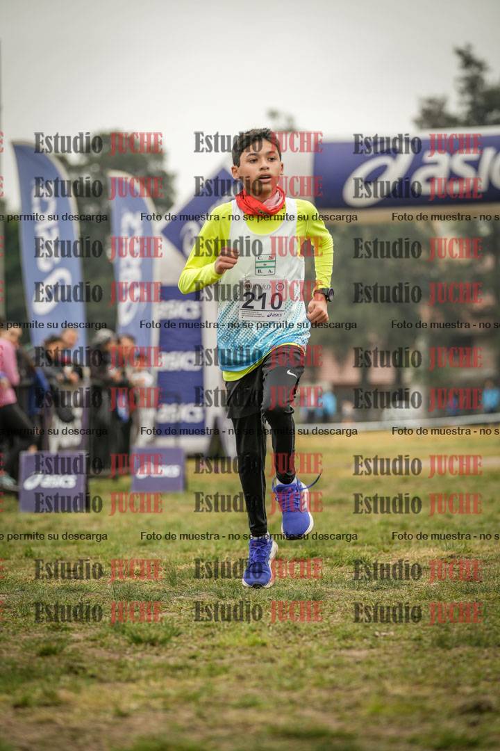 Fotos de la llegada del cross de 3000 m