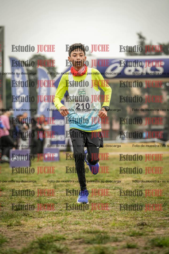 Fotos de la llegada del cross de 3000 m