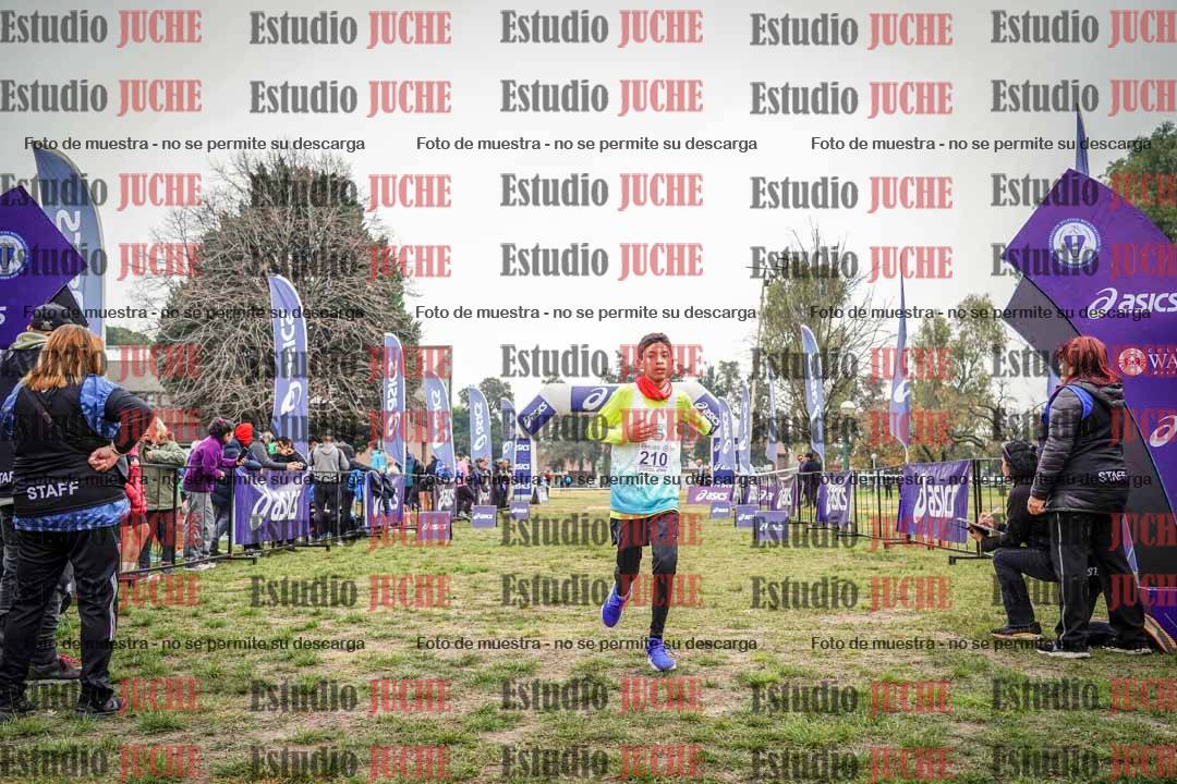 Fotos de la llegada del cross de 3000 m