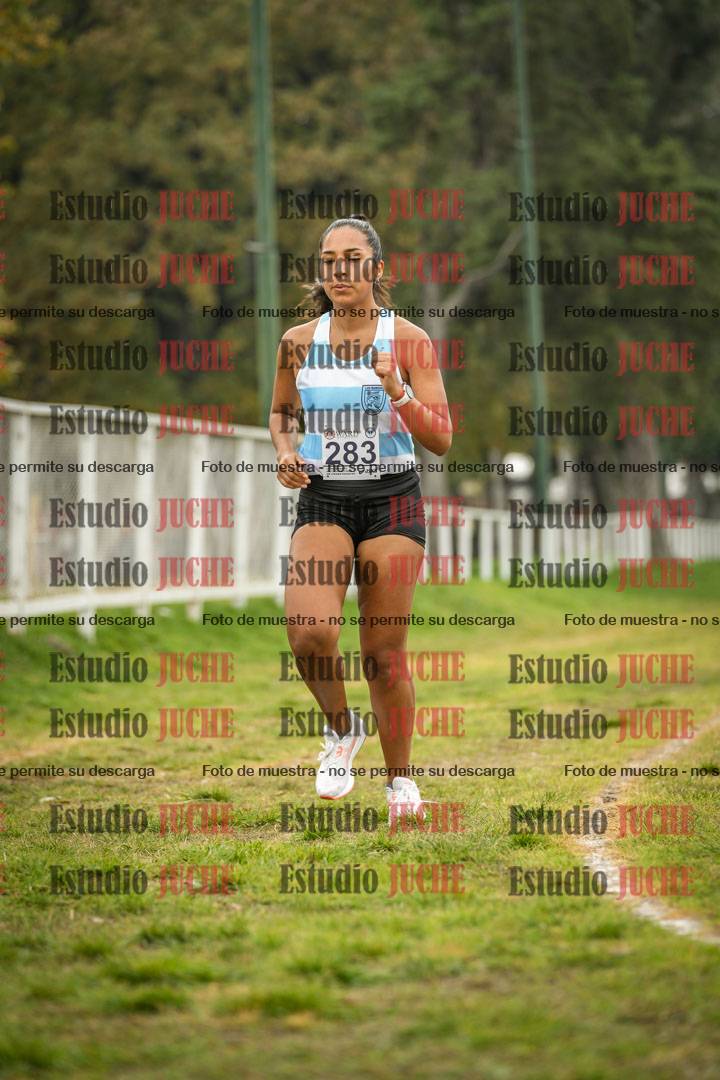 Fotos en el segundo punto del circuito