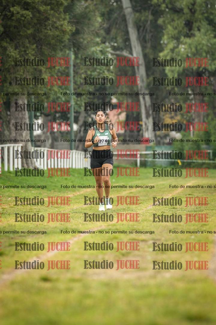 Fotos en el segundo punto del circuito