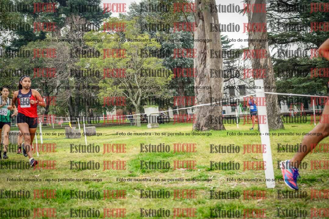 Fotos en el tercer punto del circuito