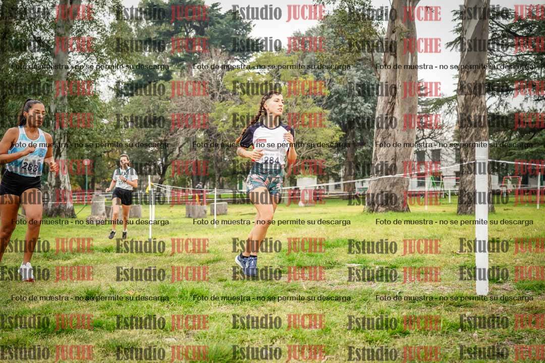 Fotos en el tercer punto del circuito
