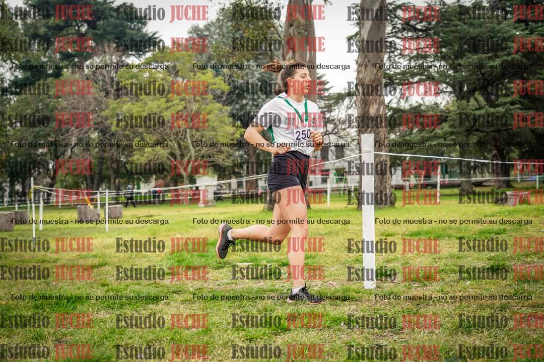 Fotos en el tercer punto del circuito