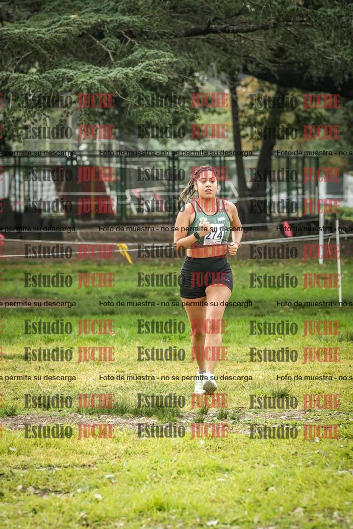 Fotos en el tercer punto del circuito