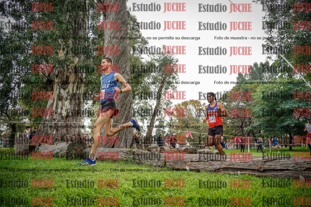 Fotos en el quinto punto del circuito